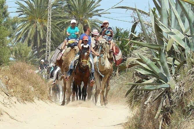 Discovery Ride on Horseback or Camel 2h30 - End Point