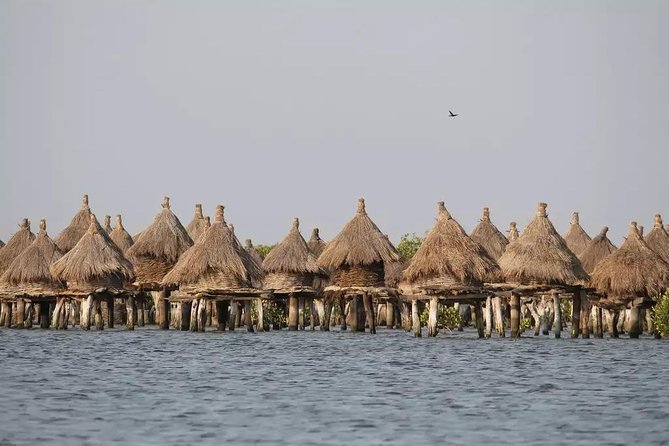 Discovery Senegal 8 Days 7 Nights