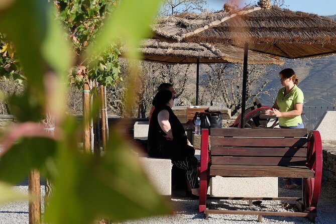 Douro Call - a Private Food and Wine Experience to the Douro Valley - Pickup Details
