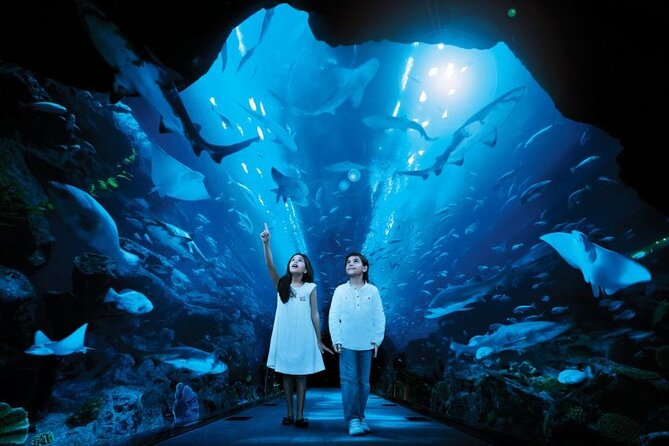 Dubai Aquarium & Underwater Zoo - Pricing and Reservations