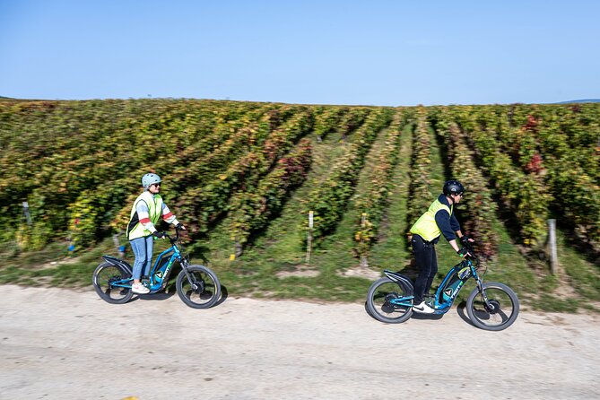 E-Scooter Private Tour and Tasting - End Point