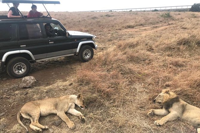 Early Morning Group Joining Mini Safari To Nairobi National Park - Directions
