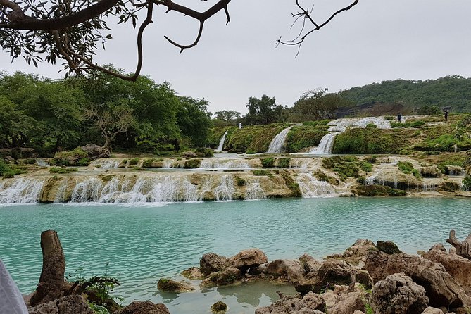 East & West Salalah Combination Tour - Darbat Waterfall, Mughsail - Reviews and Recommendations
