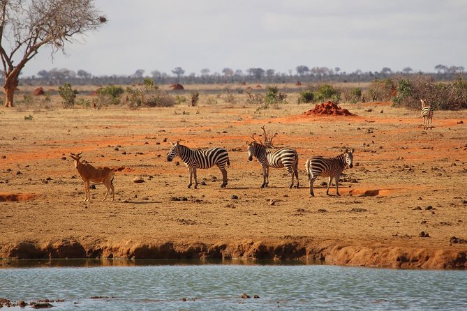 Set out on a Spectacular 2 Days Safari to Tsavo East National Park - Inclusions and Exclusions