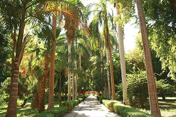 Enjoy the Charm and Beauty of Aswan for 3 Days - The Sum Up