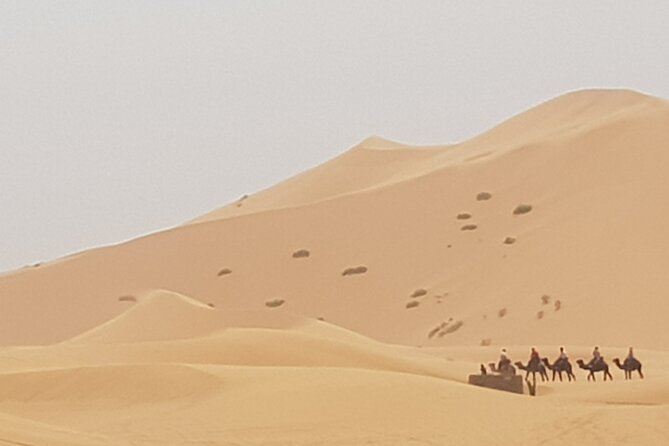 Excursion Fez-Merzouga-Fès 2 Days - Cancellation Policy Details