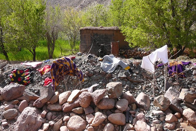 Excursion to the Village of 45 Kasbahs From Ouarzazate - Pricing and Guarantee