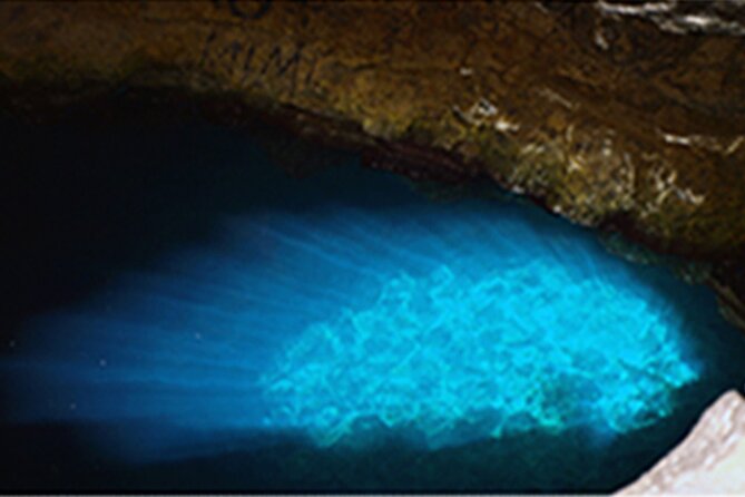 Experience on Sal Island With Native and Certified Guide (Including Sharks) - Frequently Asked Questions