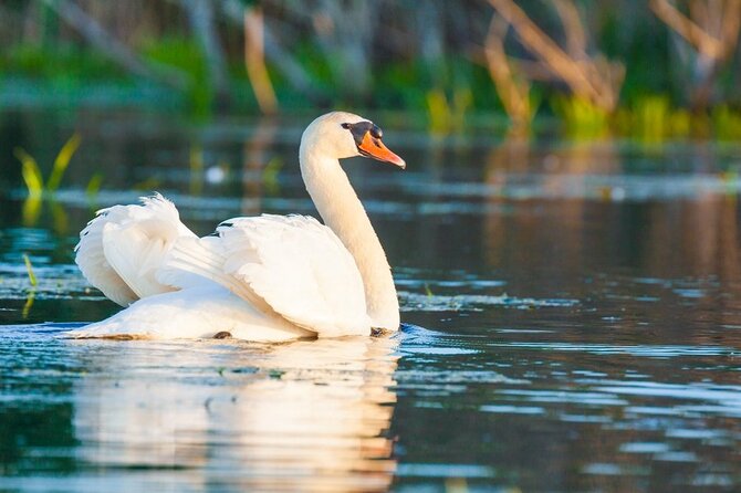 Explore Danube Delta and Black See in 2 Day Private Tour From Bucharest - The Sum Up