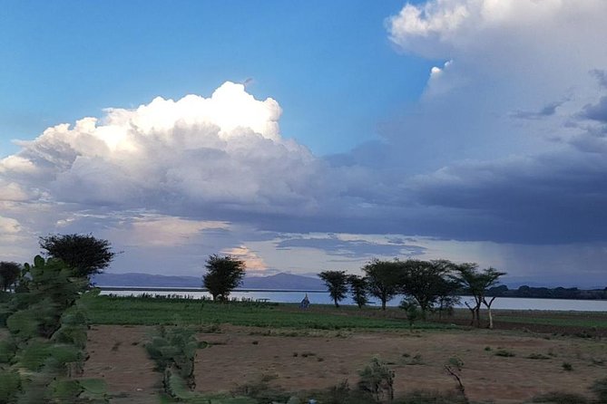 Explore the Ethiopian Rift Valley Lakes and the UNESCO Site of Steles of Tiya - Additional Information