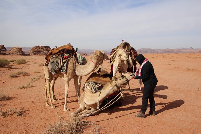 Explore Wadi Rum Desert With Camel Ride Experience With Stay - Cancellation Policy