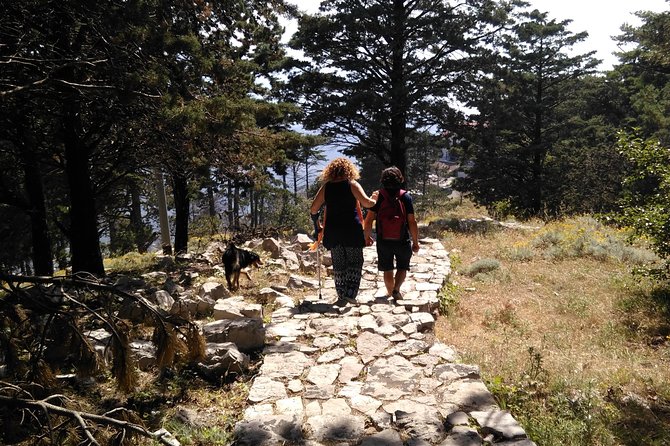Faito Trek Tour, Cable Car Excursion and Scenic Trails - Meeting Point and Time