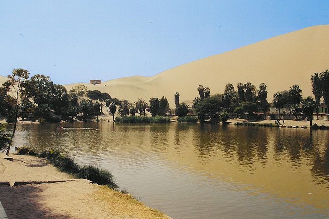 Fayoum Oasis Whales Valley & Waterfalls Day Tour - Customer Reviews