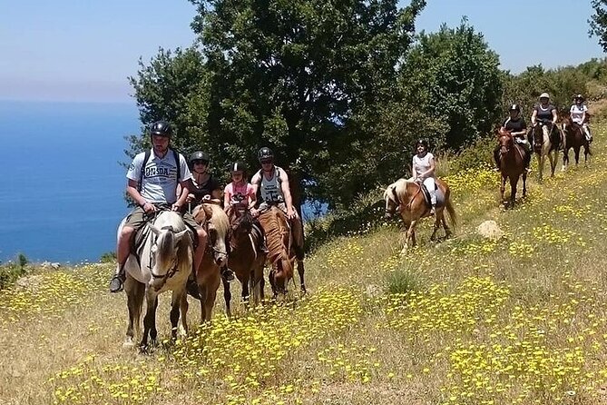 Fethiye Horse Riding Experience - Experience Details