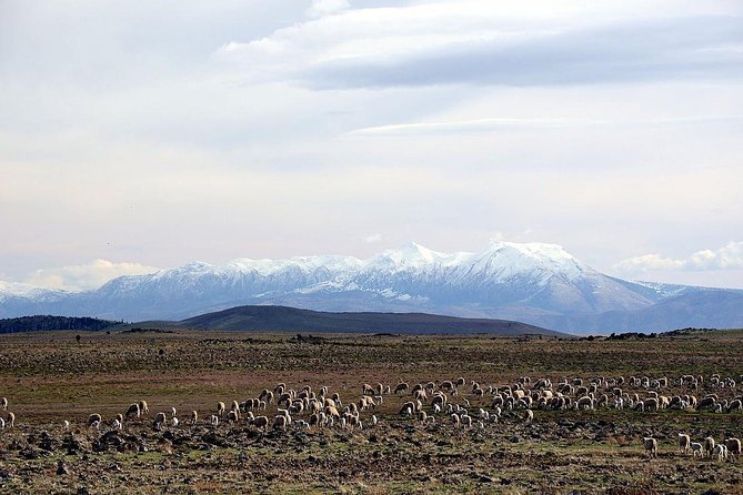 Fez to Middle Atlas Day Trip (Berber Villages&Nature) - Transportation Details