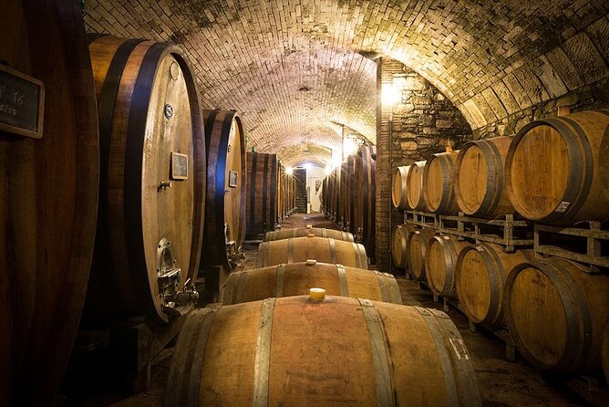 Florence & Pisa Shore Excursion With Chianti Wine Tasting - Reviews and Ratings