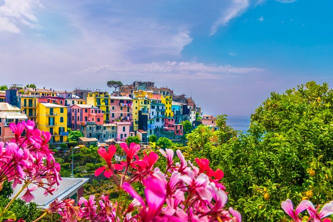 Four Days Private Tuscany City Tour From Florence - Tour Accessibility Information