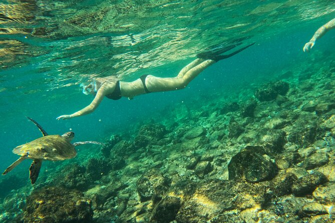 From Abu Dhabi: Snorkeling With Turtles in Fujairah With BBQ - Restrictions and Recommendations