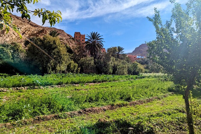 From Fes to Marrakech: 4 Day Group Tour via the Desert Merzouga - Frequently Asked Questions