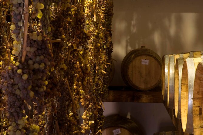 From Florence. Private Short Chianti Day With Winery Visit and Lunch - What to Expect