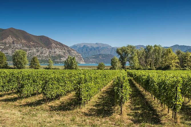 From MILAN Private Franciacorta & Amarone Valpolicella Wine Tour - Accessibility