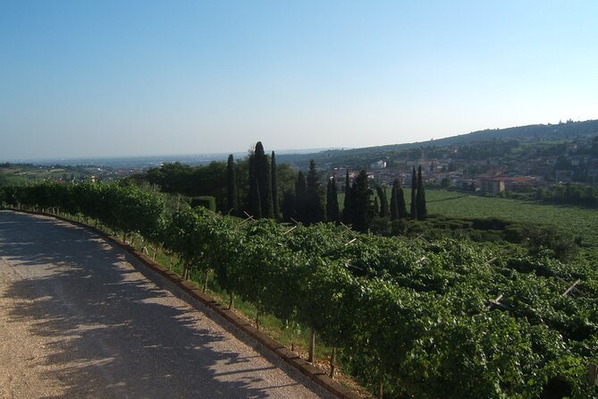 From Milan to Venice, Through the Amarone Region, Lunch & Verona - Important Details