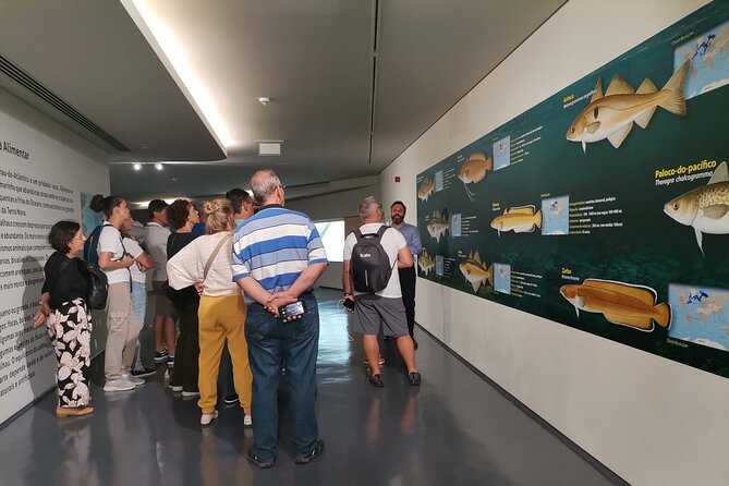 From Porto - Private Tour to Aveiro and Ilhavo Drop-off in Lisbon - Booking Information