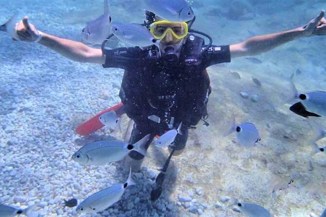 From Side, Alanya: Scuba Diving With 2 Time Dive & Lunch - Reviews