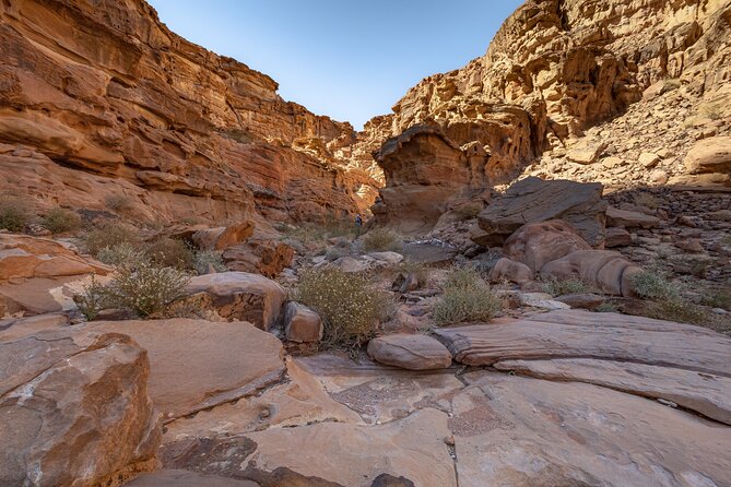 Full-Day 8 Hour Jeep Tour Into Wadi Rum Protected Area With Stay - Cancellation Policy
