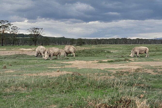 Full Day Adventure to Lake Nakuru National Park From Nairobi - Booking Process