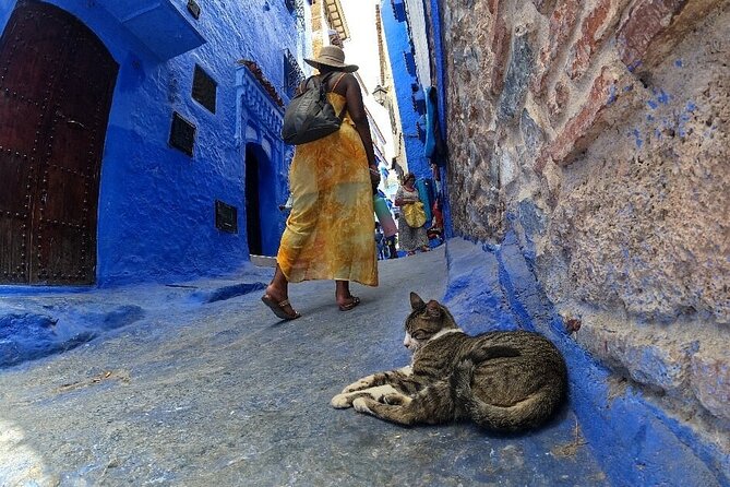 Full-Day Guided Tour From Fez to Chefchaouen - Directions and Pickup