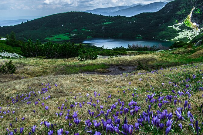 Full-Day Guided Tour to Seven Rila Lakes in Bulgaria - Cancellation Policy Details