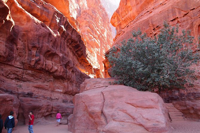 Full Day Jeep Tour ( Lunch) Wadi Rum Desert Highlights - Itinerary Highlights