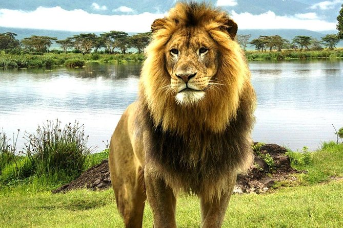 Full-Day Lake Nakuru National Park Guided Tour From Nairobi - Booking Flexibility