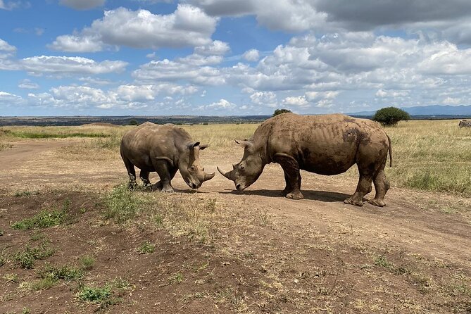 Full-Day Nairobi Circuit Private and Guided Tour - What To Expect