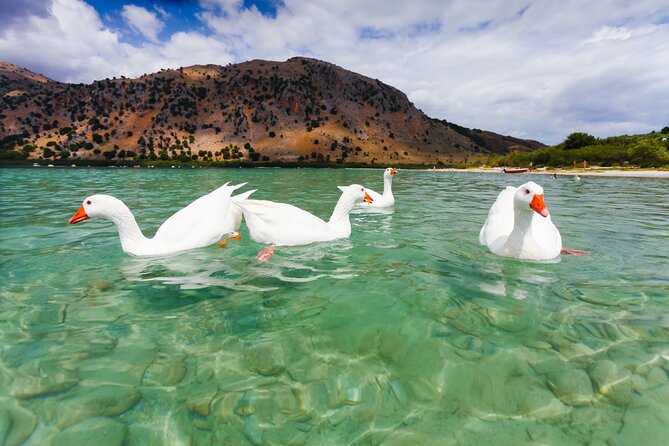Full Day Private Chania Sights and Lake Kournas Tour - Booking Process
