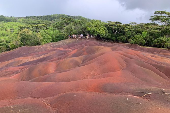 Full Day Private Custom Tour With Drive-Guide in Mauritius - The Sum Up