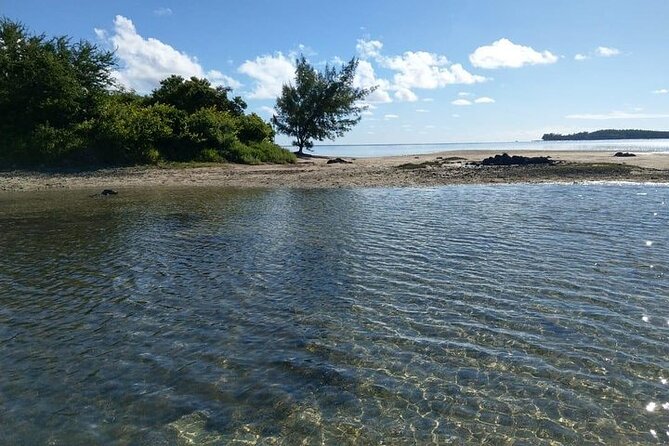 Full-Day Private Hiking Le Morne Mountain & Seafood Lunch at Islet Fourneau - Booking Information