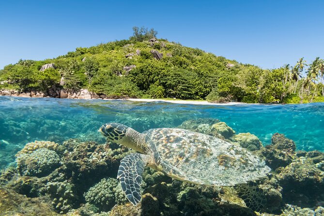 Full Day Reef Safari - St Anne Marine Park Seychelles - Additional Information