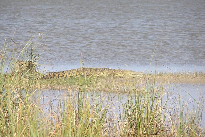 Full-Day Safari in Maputo National Park - Inclusions