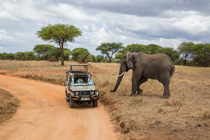 Full-Day Safari Tour From Mikumi National Park of Zanzibar - Frequently Asked Questions