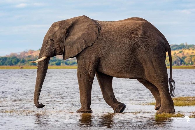 Full Day To Arusha National Park - Booking and Cancellation Policy
