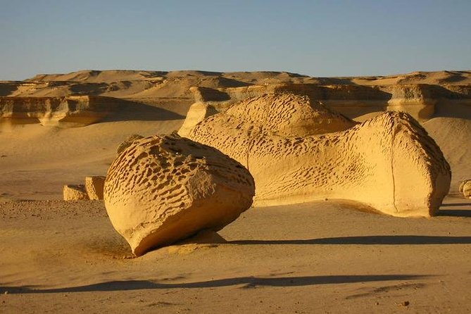 Full-Day Tour From Cairo to AL Fayoum - Tour The Sum Up