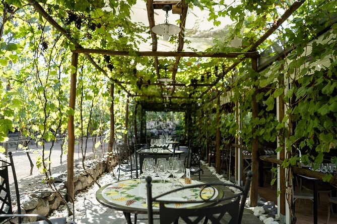 Full Day Tour in Pompei With Winery Lunch - Directions and Expectations