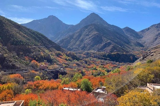 Full-Day Trip To Visit the Magical Anima Garden & Imlil Valley - Reservation and Guarantee