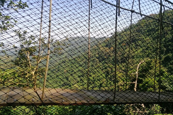 Full-Day Volta Experience ( Mount Gemi and Monkey Sanctuary) Private Tour - Good To Know