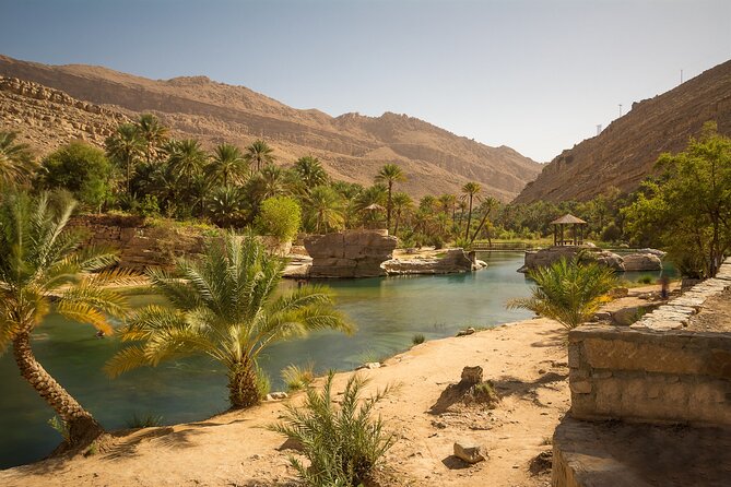 Full-Day Wahiba Desert and Wadi Bani Khalid Group Tour - Customer Reviews and Feedback