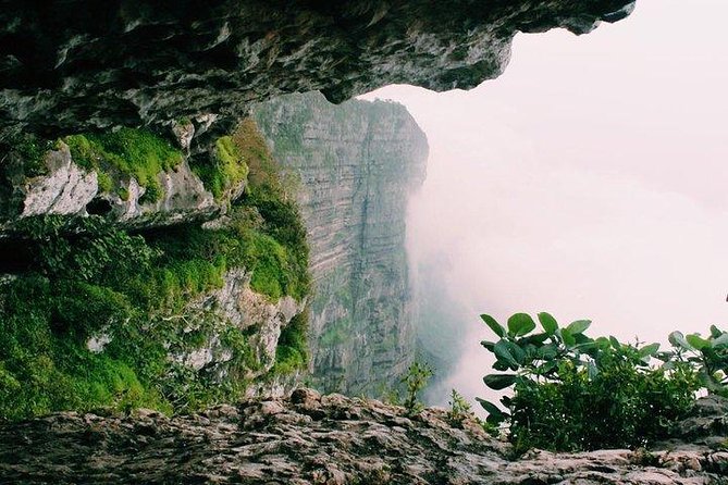 Full Day West Tour of Salalah - Reviews and Ratings