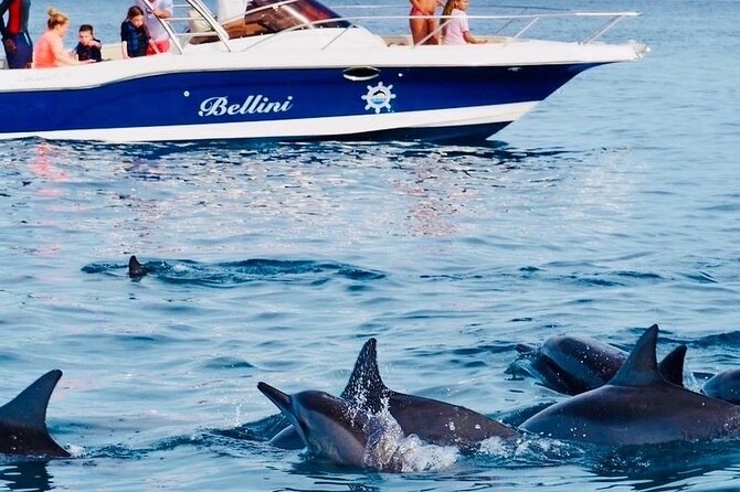 Fully Day Tour: Dolphin Encounters, Crystal Rock at Benitiers Island - Cancellation Policy