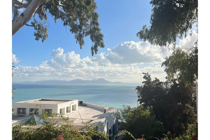 Fun Private Tour: Tunis Medina, Blue Sidi Bou Said, Carthage - Reviews